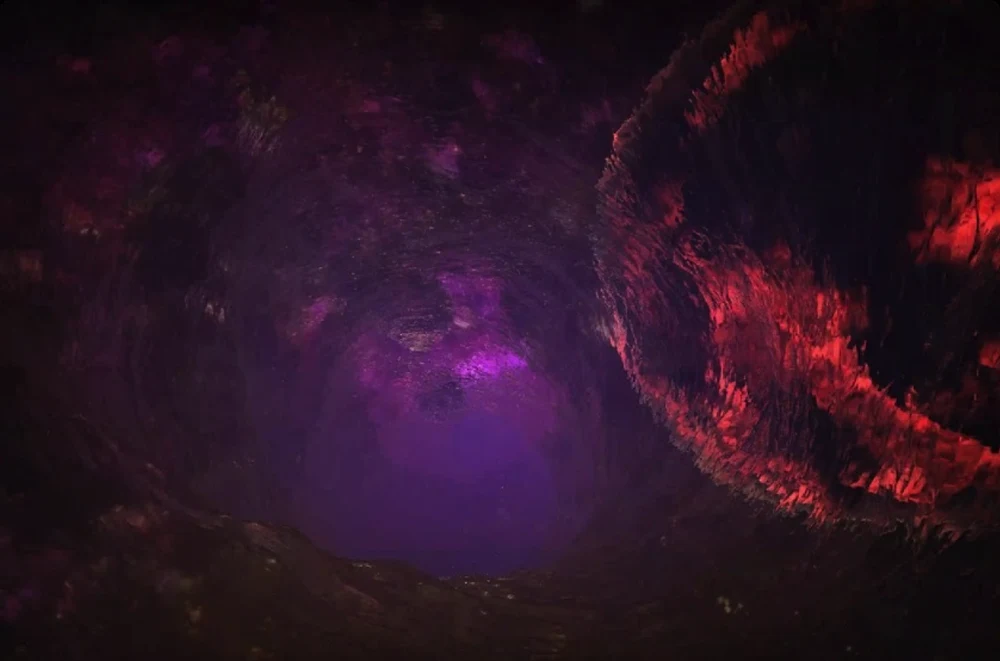 I Fcnkg Wrote This Sht by Rebel Rob — original track artwork in purple and red